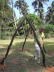 PICT0399_rz