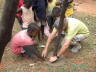 PICT0429_rz
