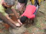 PICT0432_rz