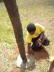 PICT0437_rz