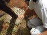 PICT0438_rz
