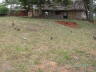 PICT0442_rz