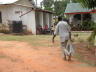 PICT0444_rz