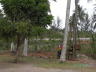 PICT0462_rz