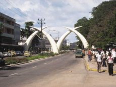 die Tusks (Elefantenzhne) tusk.gif 76 KB