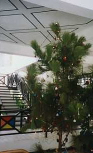 Kenya02_0304_DSR_Eingangshalle4