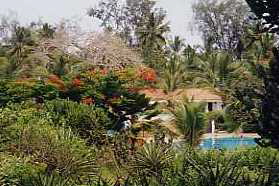 Kenya02_0308_DSR_Blick zum Pool