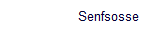 Senfsosse